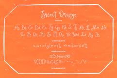 Sweet Orange - Whimsical Handwritten Script Product Image 7