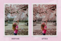 Sweet Pink Lightroom Presets Desktop Product Image 6