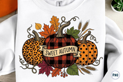 Sweet Pumpkin PNG Product Image 1