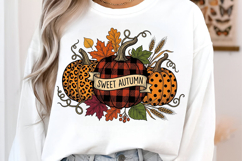 Sweet Pumpkin PNG Product Image 2