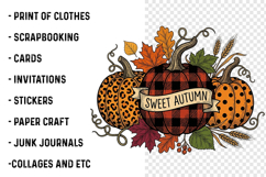 Sweet Pumpkin PNG Product Image 3