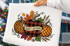 Sweet Pumpkin PNG Product Image 4