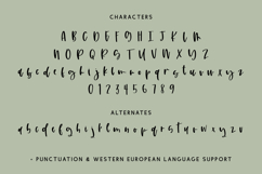 Sweet Toast Script Font Product Image 10