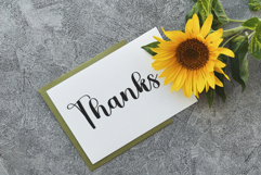 Sweety Marsmallow Product Image 8