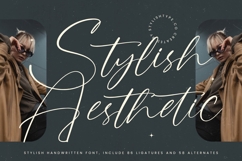 Stylish Aesthetic - Stylish Handwritten Font Product Image 1