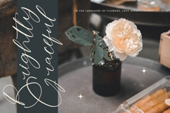 Stylish Aesthetic - Stylish Handwritten Font Product Image 3