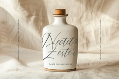 Stylish Aesthetic - Stylish Handwritten Font Product Image 5