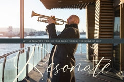 Stylish Aesthetic - Stylish Handwritten Font Product Image 15