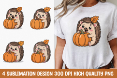 Cute Hedgehog with Pumpkin T-shirt PNG Product Image 1