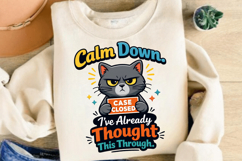 Calm Down Case Closed Funny Cat PNG Design Product Image 4