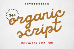 Berry Drips Messy Handwritten Script Product Image 3