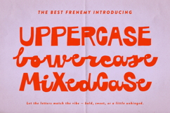 Best Frenemy Playful Vibe Script Product Image 3