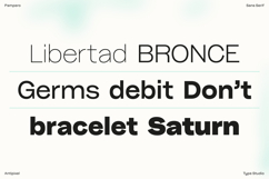 Pampero | Classic Modern Essential Sans 7 weights Product Image 4