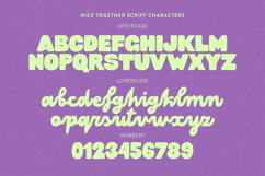 Nice Together Playful Vibe Script Product Image 6