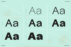 Pampero | Classic Modern Essential Sans 7 weights Product Image 8