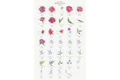 Peony Flowers and Leaves Watercolor botanical clip art Product Image 4
