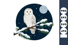 White owl perched on snow covered pine branch under full moo Product Image 1