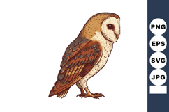 Barn owl detailed vector illustration with brown and cream f Product Image 1