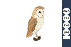 Barn owl vector illustration detailed natural bird perched o Product Image 1