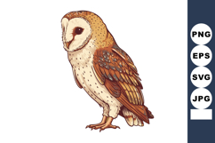 Barn owl vector illustration with detailed feathers and natu Product Image 1
