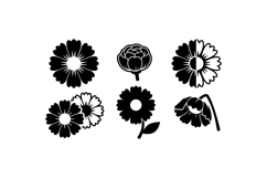 Hand Drawn Daisy Floral SVG For Crafts Product Image 1