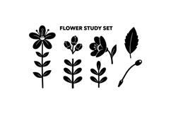 Hand Drawn Floral SVG For Wedding Invites Product Image 1