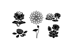 Hand Drawn Lotus Floral Clipart For Invitations Product Image 3