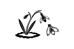 Hand Drawn Snowdrop Floral Clipart Product Image 1