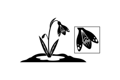 Hand Drawn Snowdrop Floral Clipart For Invitations Product Image 1
