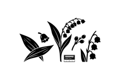 Hand Drawn Lily Of The Valley Floral Clipart Product Image 2