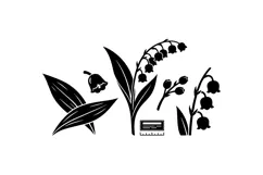 Hand Drawn Lily Of The Valley Floral Clipart Product Image 2