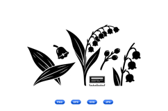 Hand Drawn Lily Of The Valley Floral Clipart Product Image 1