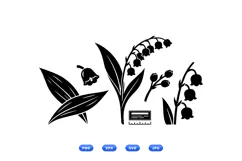 Hand Drawn Lily Of The Valley Floral Clipart Product Image 1