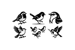 Hand Drawn Bird Clipart For Crafts Product Image 1