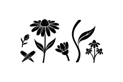 Hand Drawn Echinacea Floral Clipart For Invitations Product Image 2