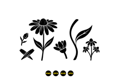 Hand Drawn Echinacea Floral Clipart For Invitations Product Image 3