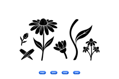 Hand Drawn Echinacea Floral Clipart For Invitations Product Image 1