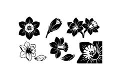 Hand Drawn Daffodil Floral SVG For Invitations Product Image 2