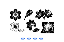 Hand Drawn Daffodil Floral SVG For Invitations Product Image 1