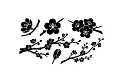 Hand Drawn Plum Blossom Clipart For Crafts Product Image 2