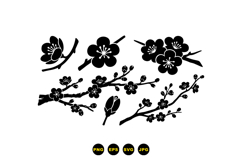 Hand Drawn Plum Blossom Clipart For Crafts Product Image 3