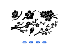 Hand Drawn Plum Blossom Clipart For Crafts Product Image 1