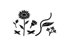 Hand Drawn Sunflower Floral Clipart Product Image 2