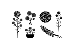Hand Drawn Floral Silhouette Illustration Product Image 2