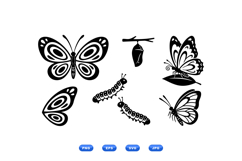 Hand Drawn Butterfly Vector For Crafts Product Image 2