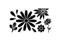 Hand Drawn Daisy Floral Clipart Graphics For Crafts Product Image 1
