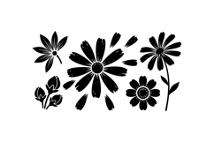 Hand Drawn Daisy Floral Clipart For Crafts Product Image 3