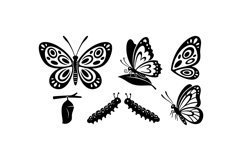 Hand Drawn Butterfly SVG For Invitations Product Image 1