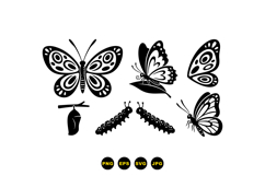 Hand Drawn Butterfly SVG For Invitations Product Image 3