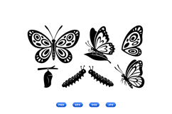 Hand Drawn Butterfly SVG For Invitations Product Image 2